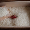 米の賞味期限