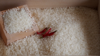 米の賞味期限